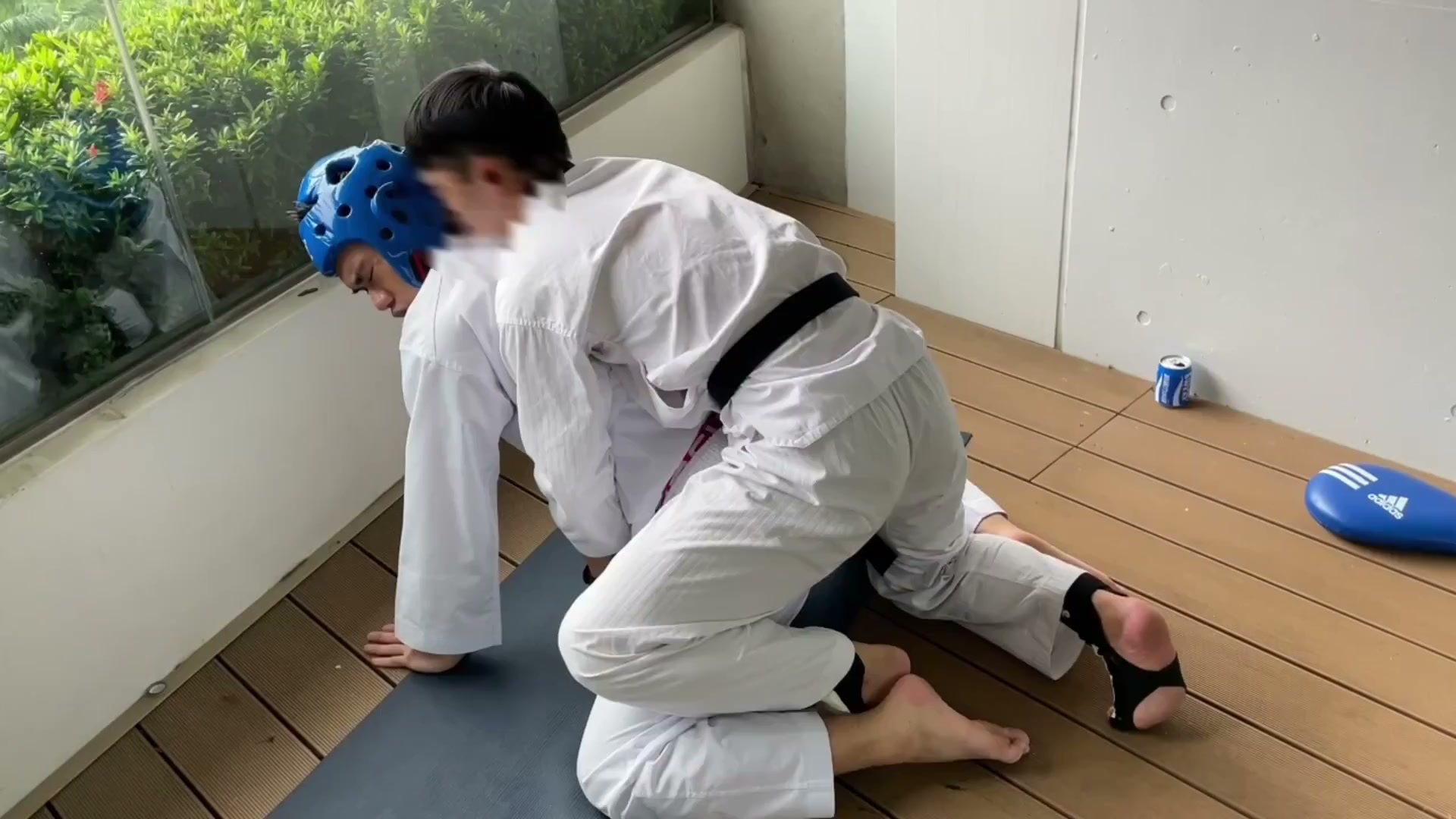 新鮮社畜