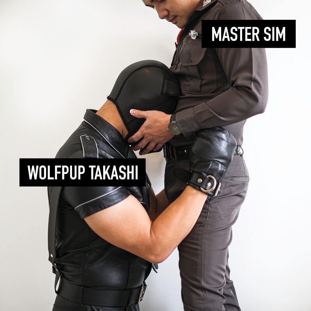 @mastersim