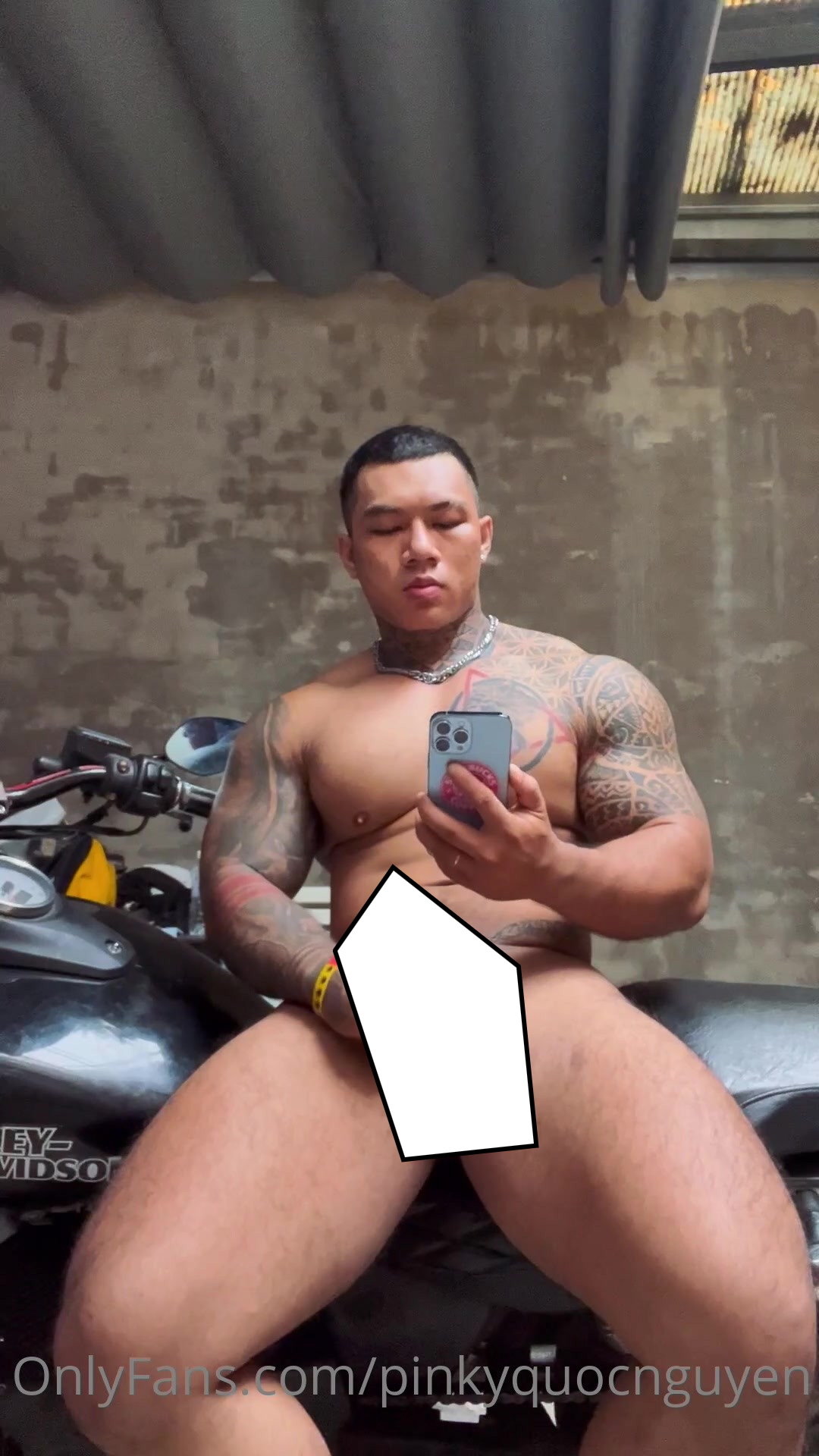 @pinkyquocnguyen 7.90 GB