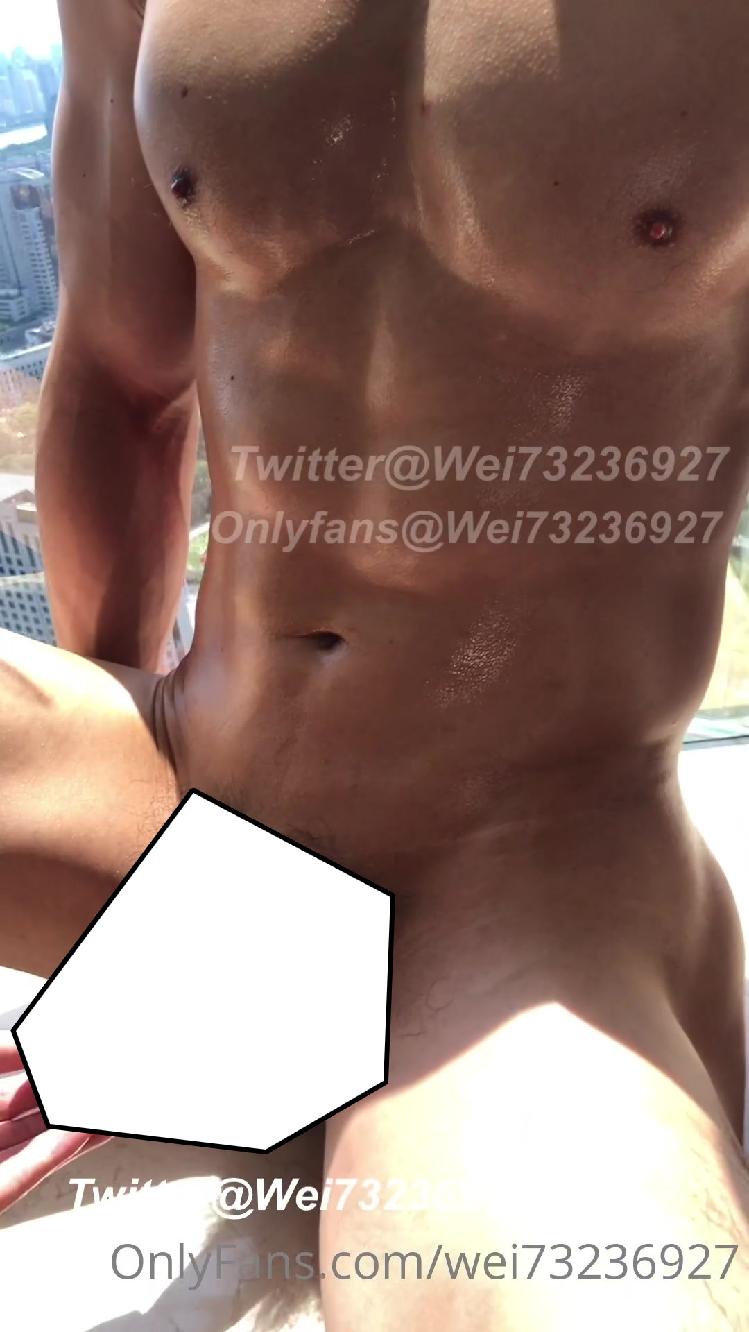 @Wei73236927