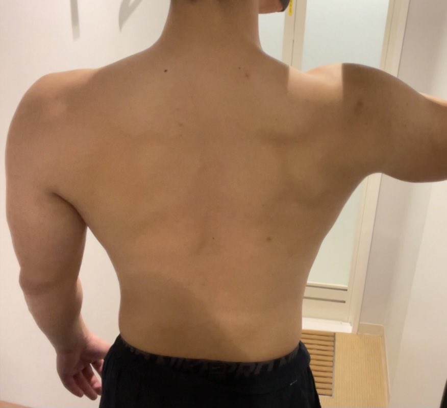 ドンちゃん 251.91 MB