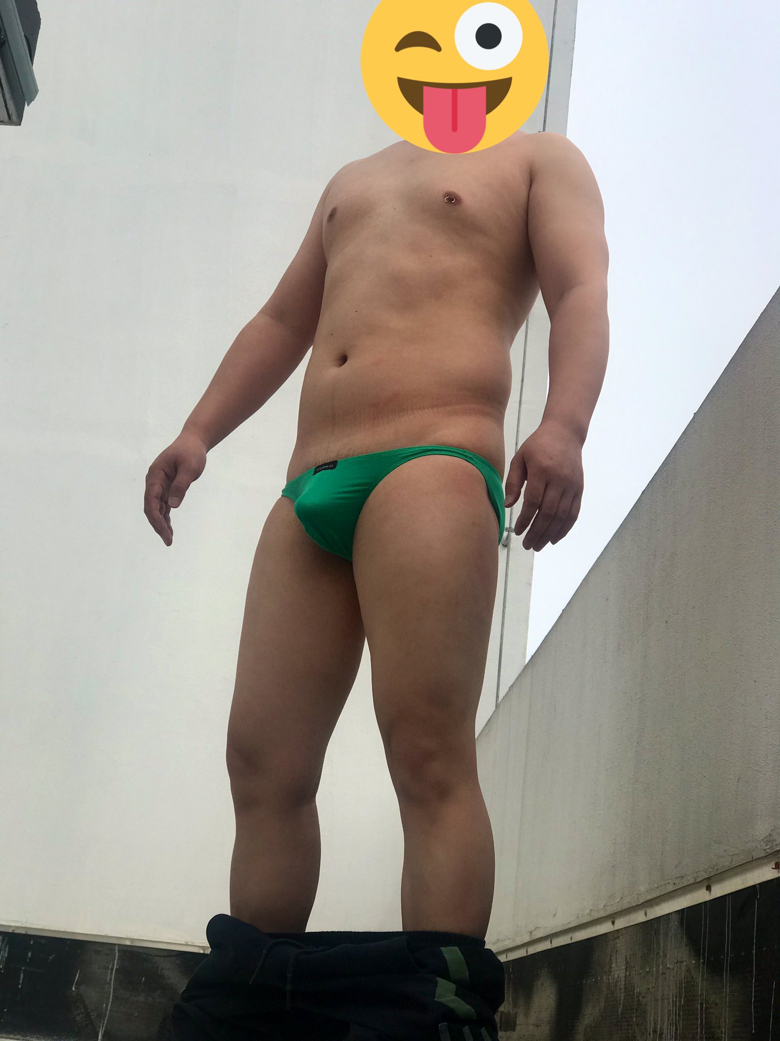双鱼壮熊