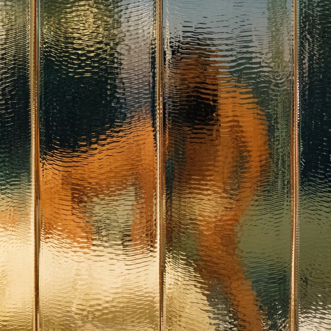 菊空空（中国香港 732.61 MB