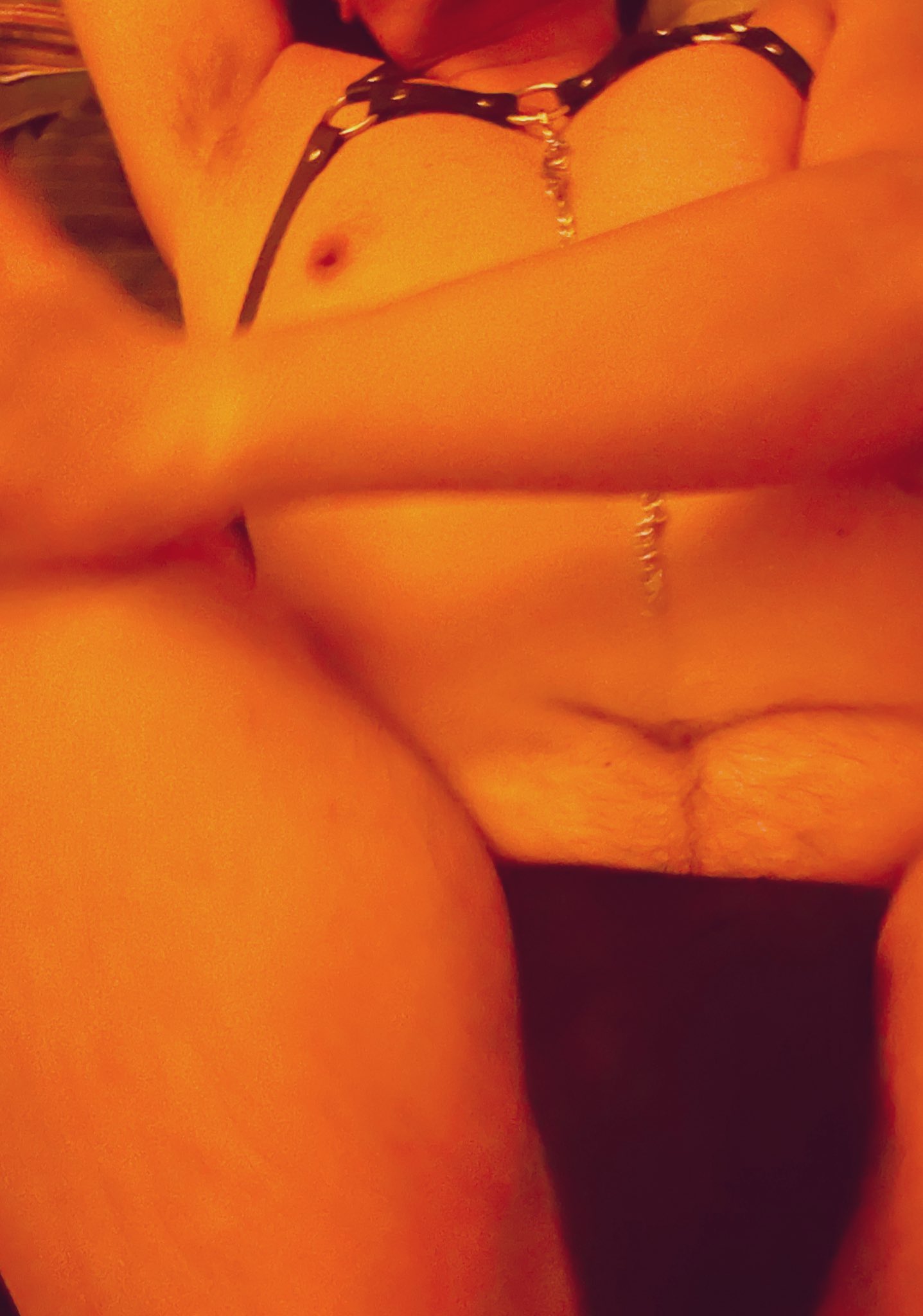 musclebear-top 635.87 MB