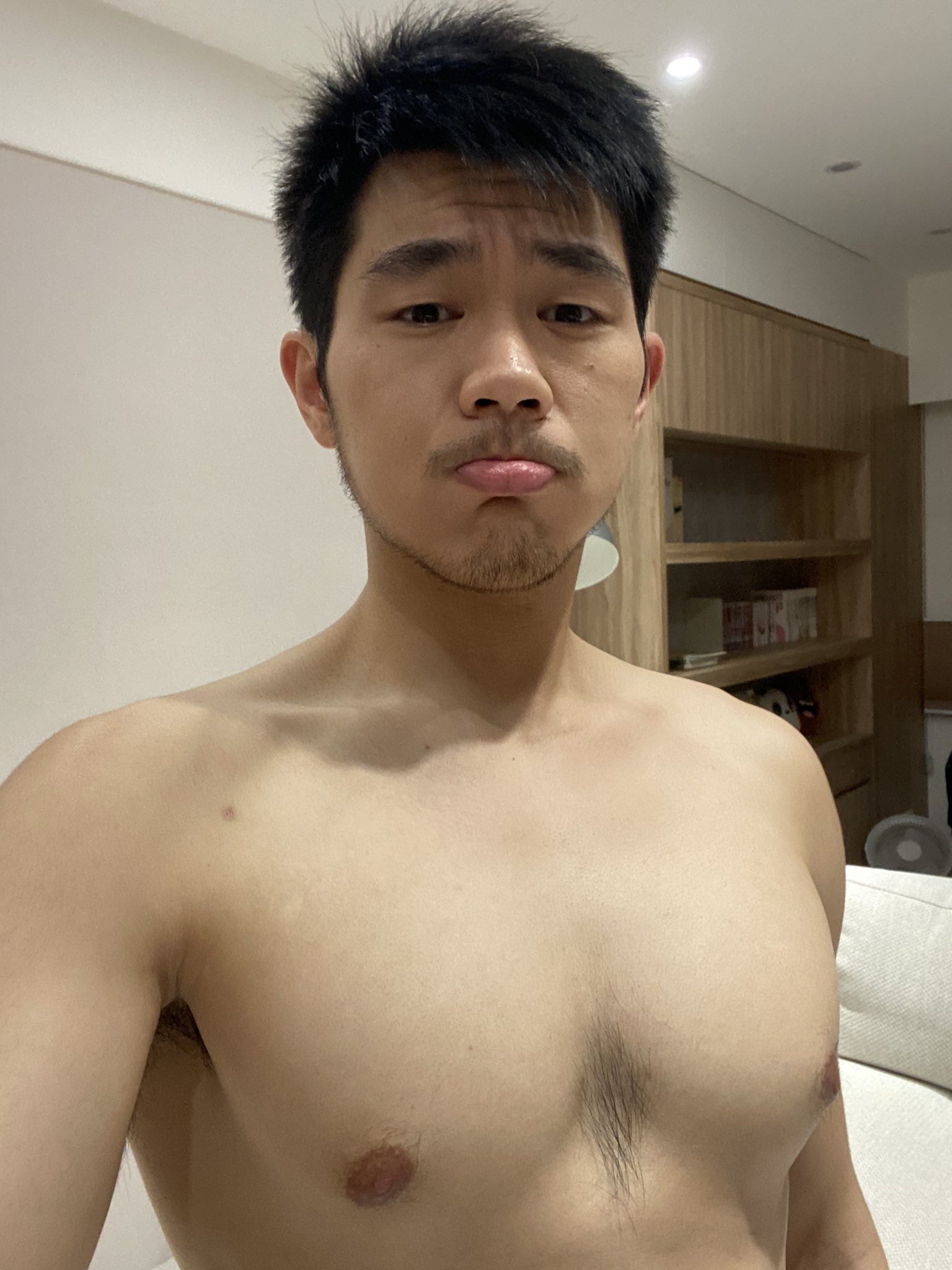 豪豪
