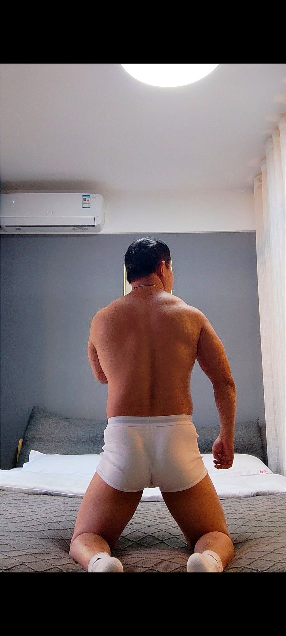 短腿柯基攻