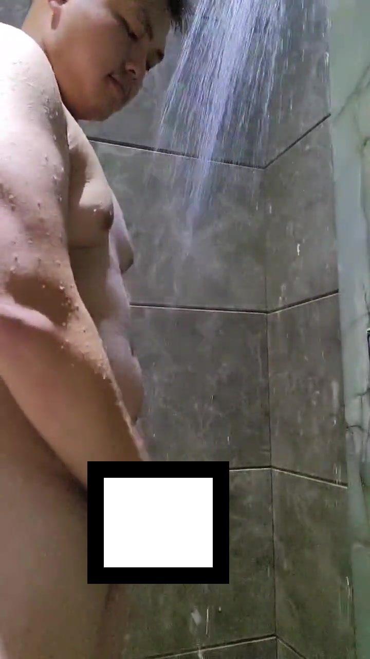 小黑柴