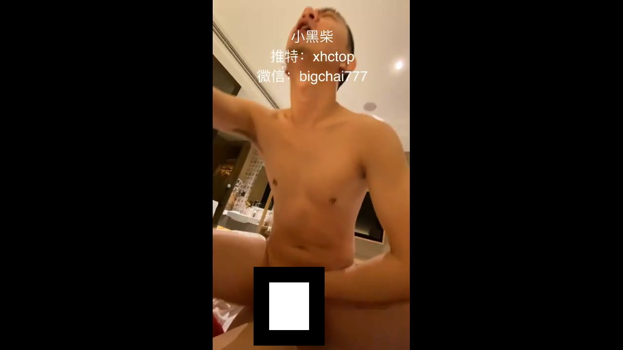 小黑柴